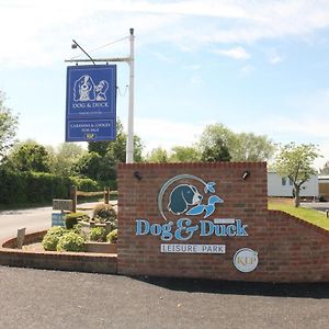 Dog And Duck Leisure Park